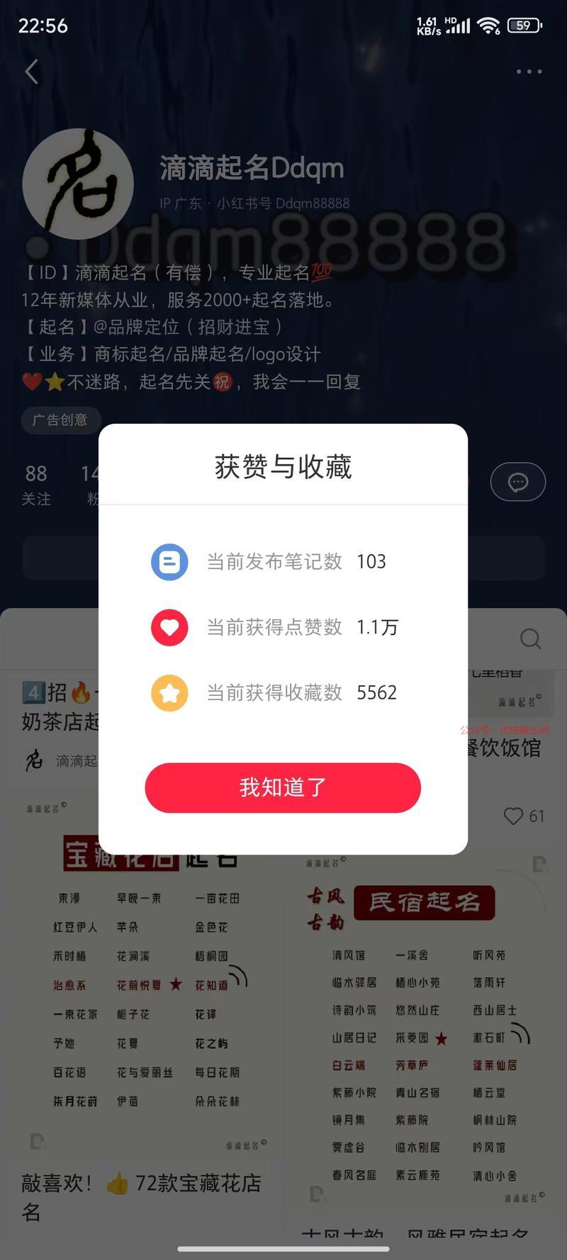 小红书，虚拟赛道，卖店…#情报-搞钱情报论坛-网创交流-优选副业网
